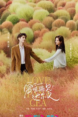 爱情两对半